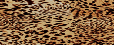 Tecido Estampado de Fio Flamê